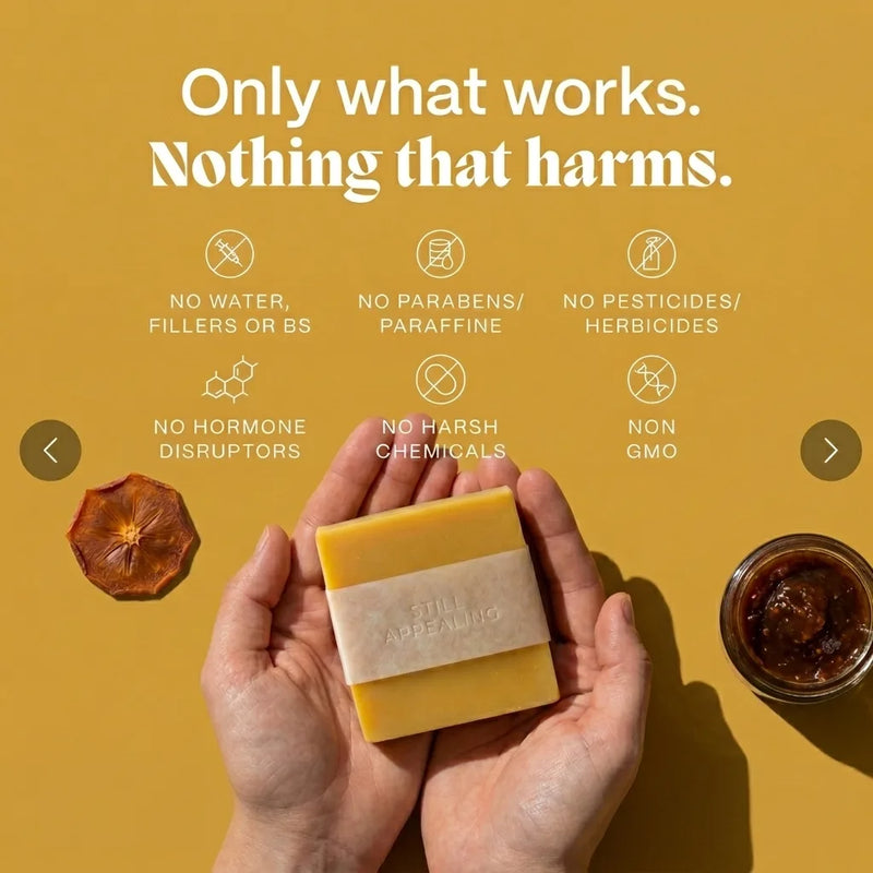 Fermented Persimmon Bar for Teens