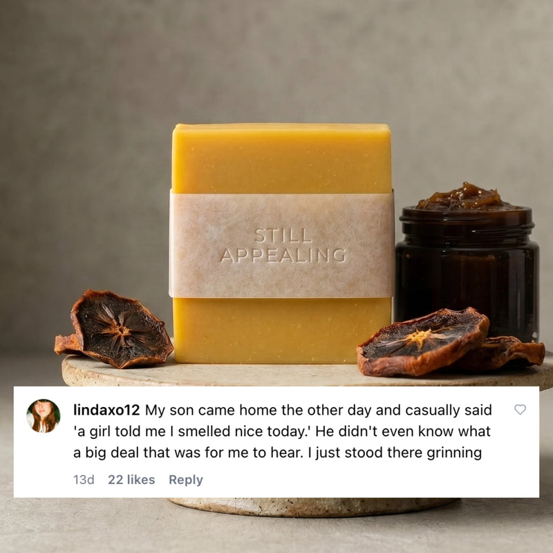 Fermented Persimmon Bar for Teens