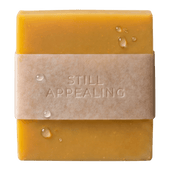 Fermented Persimmon Bar for Teens