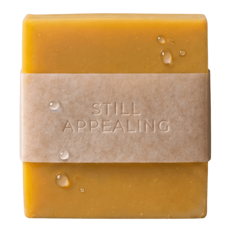 Fermented Persimmon Bar for Teens